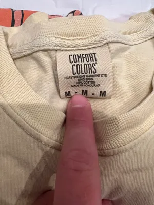 Comfort Colors Delta Zeta Tee thumbnail 2