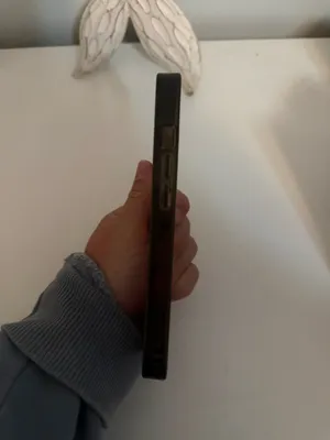 CASETiFY iPhone Case thumbnail 2