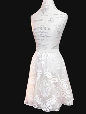BARASCHI Ivory Three Layered Midi Skirt with Sheer Floral Lace Pattern Sz 2 thumbnail 3