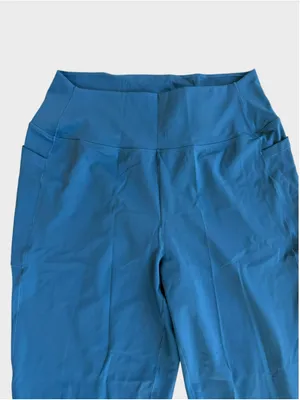 Size L (Regular) Halara Jogger Pants in Dragonfly thumbnail 3