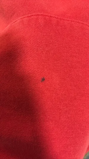 Nike Sweatshirt Hoodie thumbnail 3