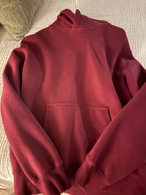 Aritzia Hoodie thumbnail 2
