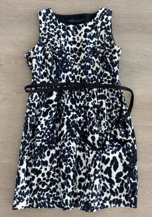 Zara Dress thumbnail 1