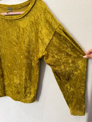 Free People We The Free XS Velvet Balloon Sleeve Top Y2K Whimsigoth Fairy Grunge thumbnail 4