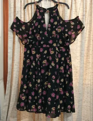 Torrid Multi-Color Floral Print Chiffon Cold Shoulder V-Neck Dress thumbnail 1