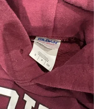 Gildan Harvard Hoodie thumbnail 3