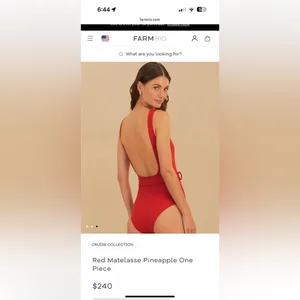 farm rio swimsuit thumbnail 4