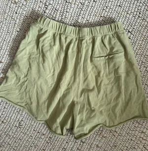 Aerie Green Shorts thumbnail 4