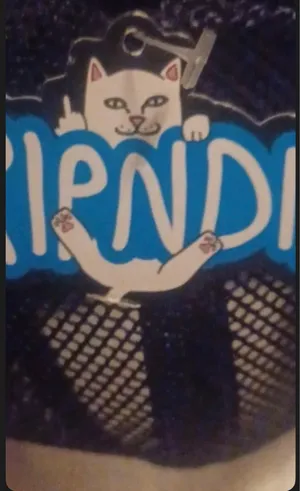 Ripndip SnapBack thumbnail 1