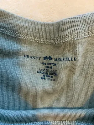Brandy Melville baby tee thumbnail 2