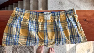 American Eagle Boy Shorts  thumbnail 1