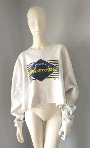 NEW 2XL Champion‎ Michigan Wolverines Reverse Weave Cropped Pullover Sweatshirt thumbnail 1