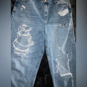 American Eagle Relaxed Mom Jean Size 16 Regular thumbnail 4