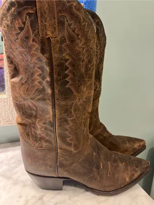 Dan Post Red-Brown Leather Cowboy Boot Interior thumbnail 1