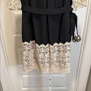 Gianni Bini Black Lace Trim Belted Dress Romantic Chic Feminine Aesthetic Small‎ thumbnail 9