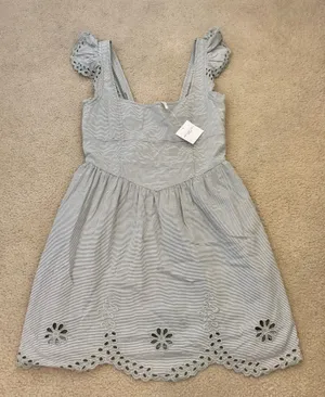 American Eagle Dress thumbnail 1