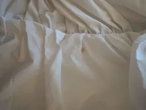 White mini dress thumbnail 4