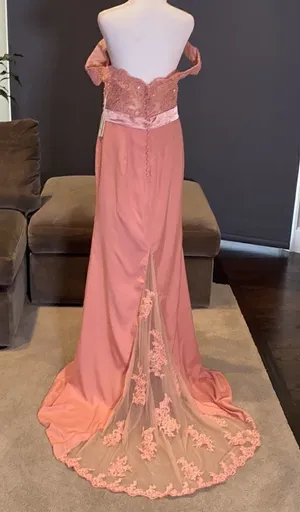Women’s Dusty Pink Full Length Party Formal Dress Small Train Size 14 NWT thumbnail 1