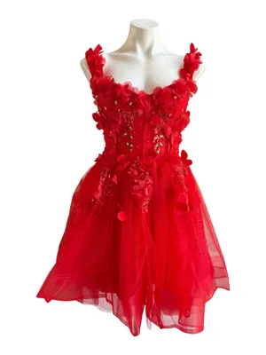 Warm Notices Floral-Bodice Short Babydoll Homecoming Dress Red NWT thumbnail 1