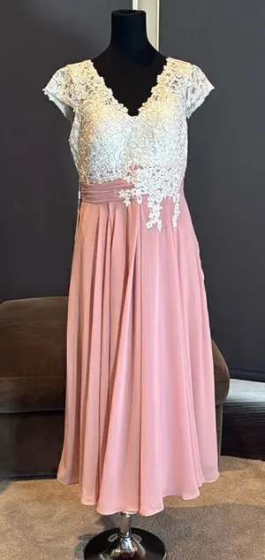 Women’s Ivory Lace Top Pink Chiffon V-Neck Cap Sleeves Formal Dress Size 10 NEW thumbnail 1