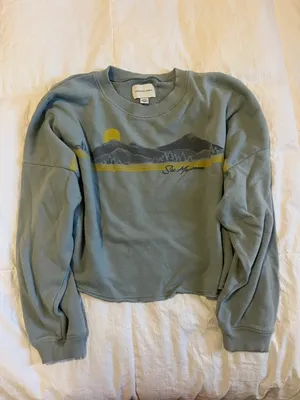 American Eagle Outfitters Cropped Sweatshirt thumbnail 1
