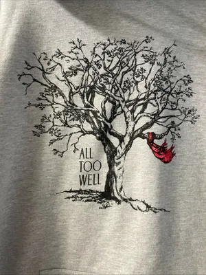 Taylor Swift All Too Well Pullover Hoodie Size 3XL Gray. Red Album. thumbnail 3
