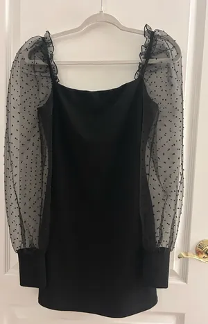 Lucy in the Sky Black Dress with Sheer Sleeves thumbnail 1