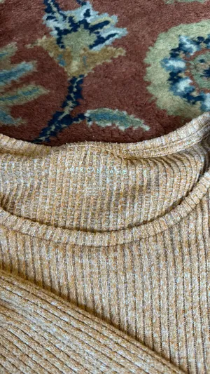 American Eagle Outfitters Ribbed T-Shirt thumbnail 2