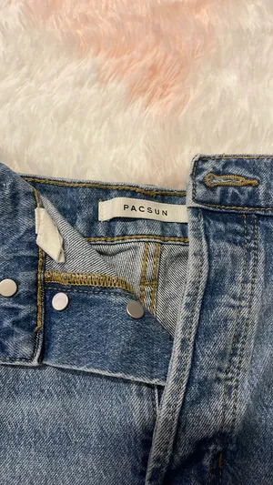 PacSun Shorts thumbnail 3