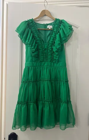 Lena Green Ruffled Fit and Flare Dress (from boutique) thumbnail 1