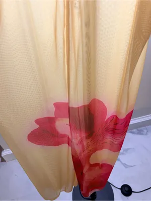 Sheer Cream Slip Dress with Red Hem Accent thumbnail 4