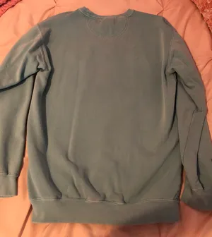 Comfort Colors Delaware Crewneck thumbnail 3