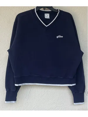 OFFLINE By Aerie Cloud Fleece V-Neck Crew Sweatshirt L Prep Nautical Coastal thumbnail 2