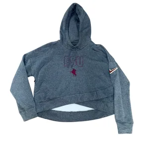 Nike Team FSU Florida State Seminoles Hoodie Sweatshirt Gray Womens L College thumbnail 1