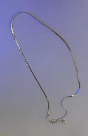 Target Silver snake chain necklace #minimalist #jewelry thumbnail 1