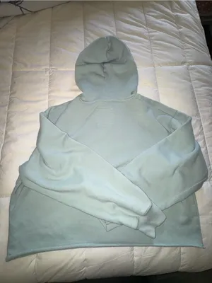 Hollister Daisy Pullover Hoodie - Pale Blue thumbnail 4