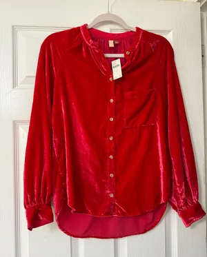 Anthropologie Pilcro Velvet Button Down Blouse thumbnail 2