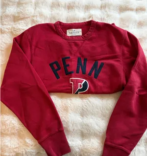 American Eagle University of Pennsylvania Crewneck thumbnail 3