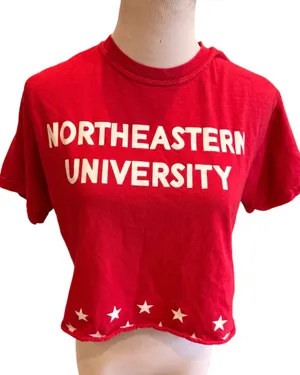 Comfort Colors Northeastern University Red Crop Top Tshirt Collegiate S Huskies Boston thumbnail 2