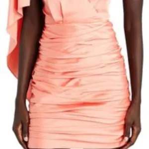 Ronny‎ Kobo Collection Coral Morgan Ruched Cocktail Dress thumbnail 6