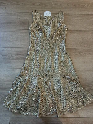 NWT Julie Brown Women’s Lauryn Dress Gold Firecracker Chiffon Sequin Size 2 thumbnail 2
