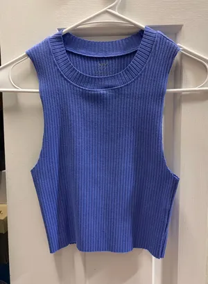 Aerie Periwinkle Tank Top thumbnail 1