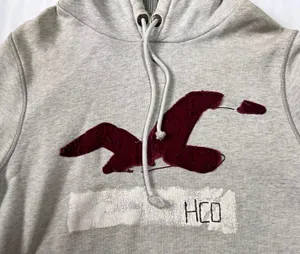 Hollister Pullover Hoodie thumbnail 4