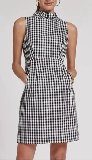 Tyler Boe Gingham Ruffle Neck Stella Dress thumbnail 1