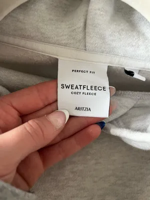 Aritzia Hoodie Perfect  thumbnail 3