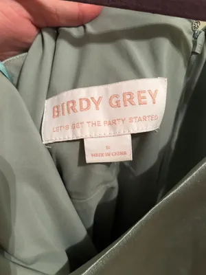 Birdy Grey Maxi Dress thumbnail 3