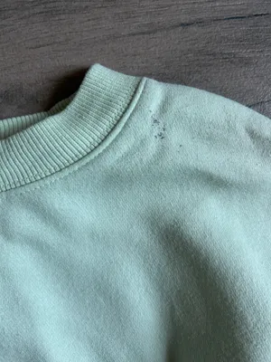 Cropped Crewneck Sweatshirt in Mint Green thumbnail 4