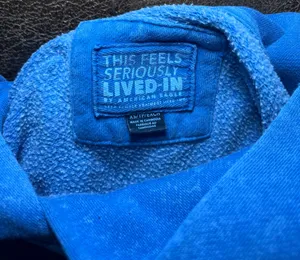 Grateful Dead American Eagle "Seriously Lived-In" Hoodie Washed Blue Women’s XS thumbnail 7