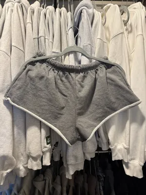 Aritzia Shorts thumbnail 2