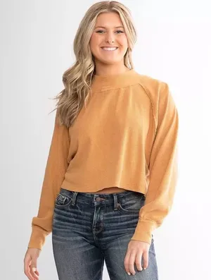 Free People We The Free fun times turtle cropped, long sleeve basic top thumbnail 1